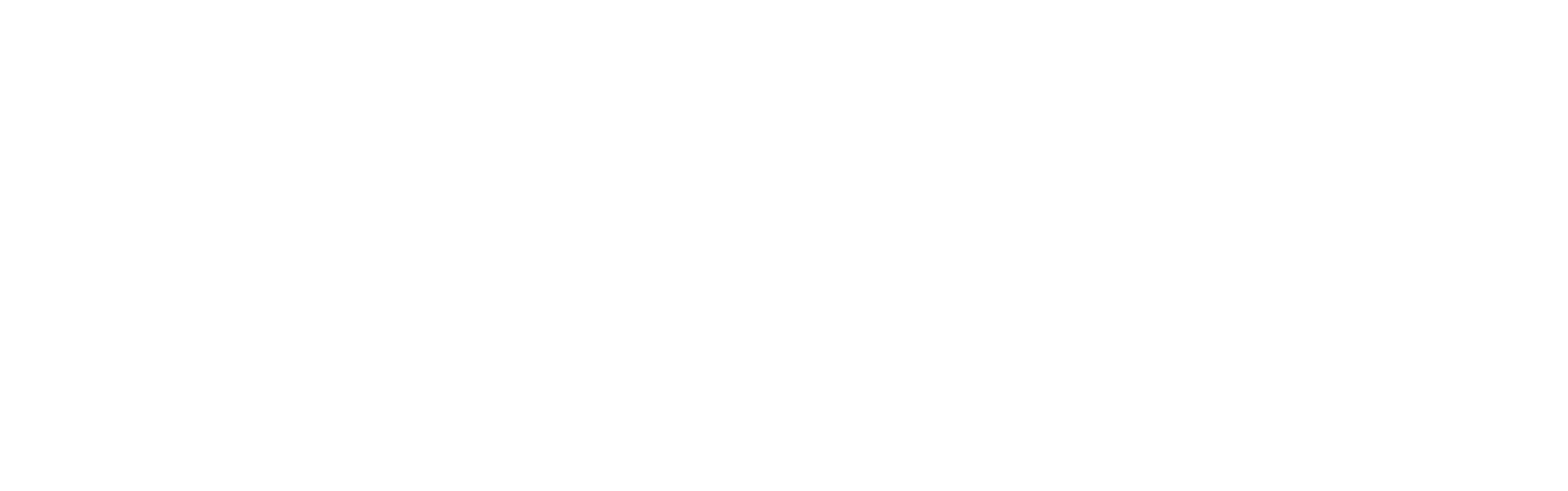 Silverlight-Digital-SLD-logo-1500×480 (1) copy